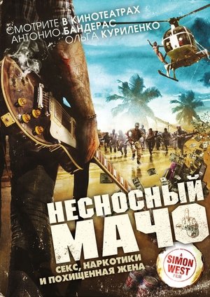 <Images posters