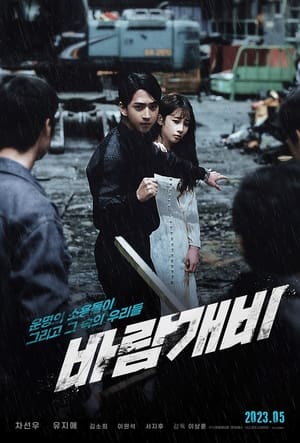 Télécharger 바람개비 ou regarder en streaming Torrent magnet 