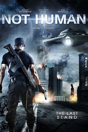 Poster Ombis: Alien Invasion 2013