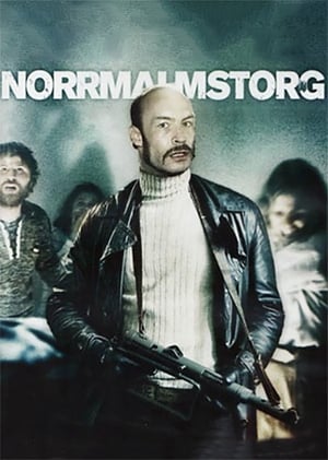 Image Norrmalmstorg