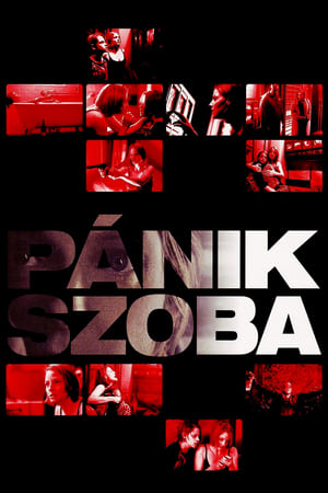 Poster Pánikszoba 2002