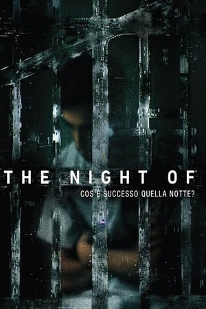 Image The Night Of - Cosa è successo quella notte?