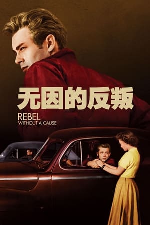 Poster 无因的反叛 1955