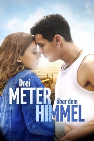 Poster Drei Meter über dem Himmel 2010