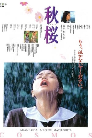 Poster 秋桜　コスモス 1997