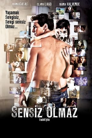 Poster Sensiz Olmaz 2012