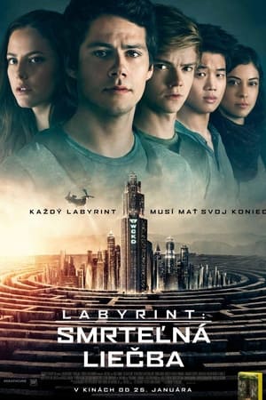 Poster Labyrint: Smrteľná liečba 2018