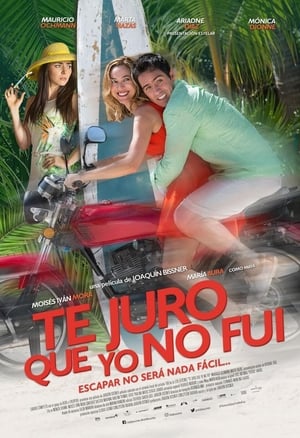 Poster Te juro que yo no fui 2018