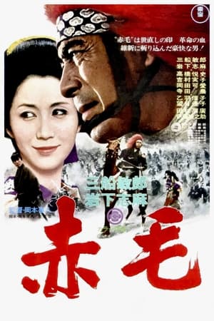 Poster 赤毛 1969