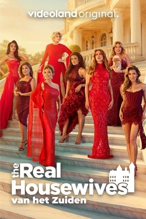 The Real Housewives van het Zuiden (2025)