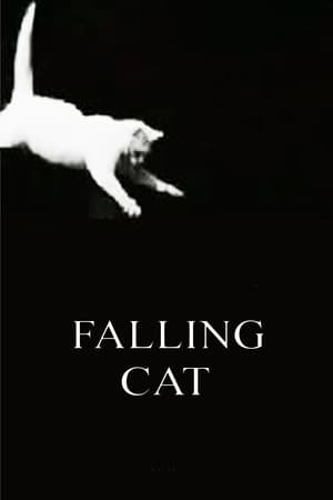 Télécharger Falling Cat ou regarder en streaming Torrent magnet 