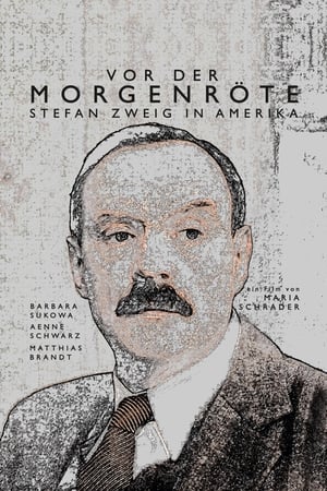 Télécharger Stefan Zweig, adieu l'Europe ou regarder en streaming Torrent magnet 