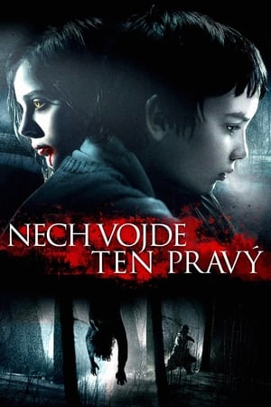 Poster Nech vojde ten pravý 2010