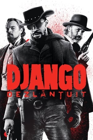 Poster Django dezlănțuit 2012
