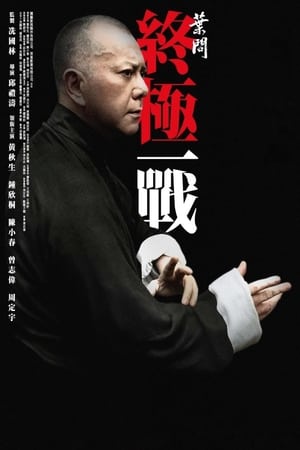 Ip Man: Poslední boj 2013