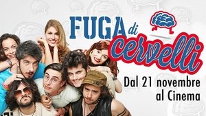 Fuga di cervelli backdrop Fuga di cervelli