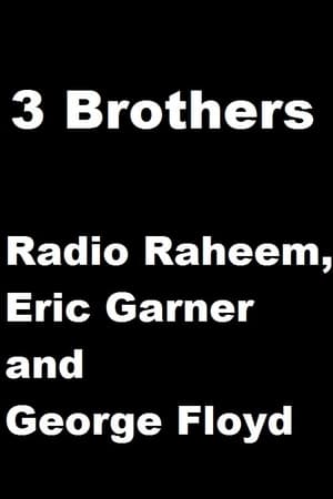Télécharger 3 Brothers - Radio Raheem, Eric Garner and George Floyd ou regarder en streaming Torrent magnet 