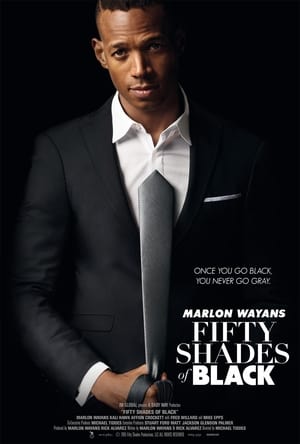 Poster Fifty Shades of Black 2016