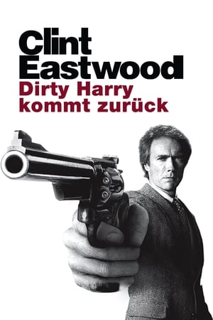 Image Dirty Harry kommt zurück