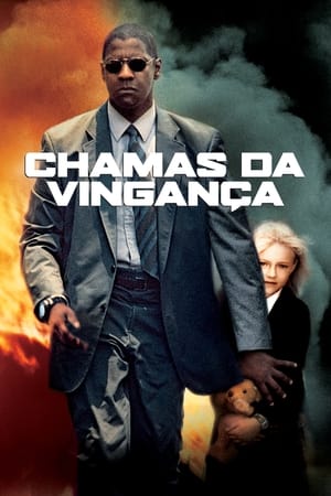 Poster Homem em Fúria 2004