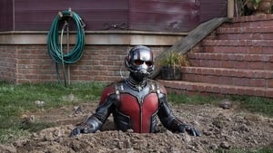 Capture of Ant-Man (2015) HD Монгол хэл