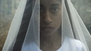 LA LLORONA DE LOS CAFETALES