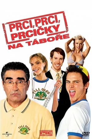 Poster Prci, prci, prcičky: Na táboře 2005