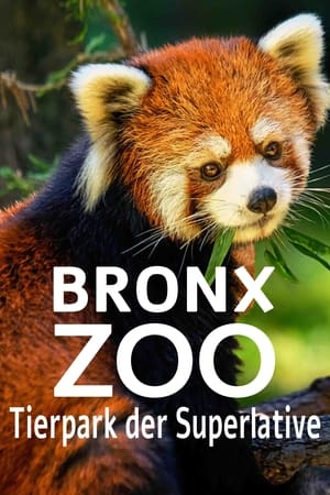 Image Bronx Zoo - Tierpark der Superlative
