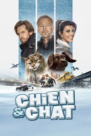 Télécharger Chien et Chat ou regarder en streaming Torrent magnet 