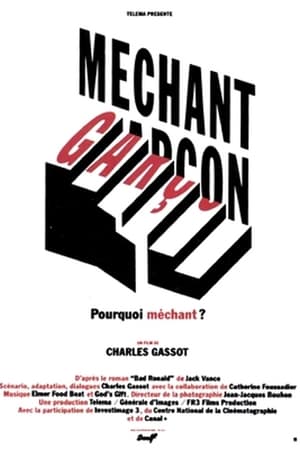 Image Méchant garçon