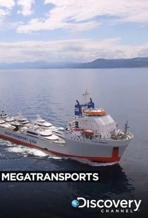 Image Mega Transports