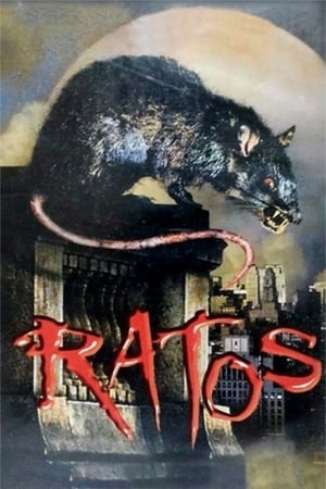 Image Ratos