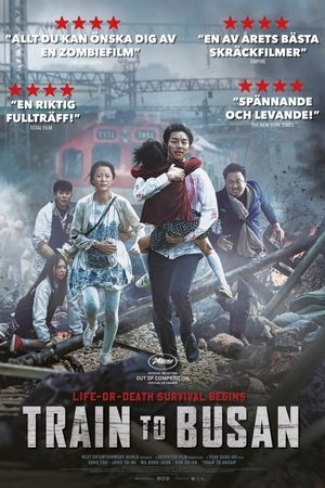 Image Train to Busan