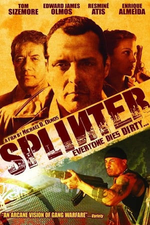 Poster Splinter 2006