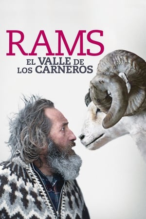 Image Rams (El valle de los carneros)