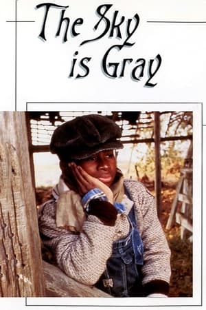 Poster The Sky Is Gray 1980