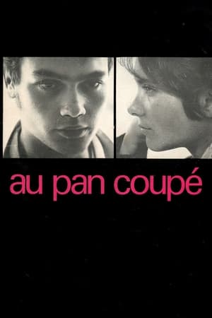 Image Au pan coupé