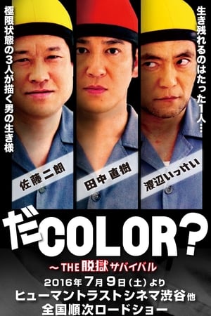 Télécharger だCOLOR？ THE脱獄サバイバル ou regarder en streaming Torrent magnet 