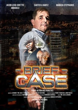 Poster Brief Case 2021