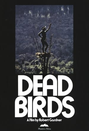 Image Dead Birds