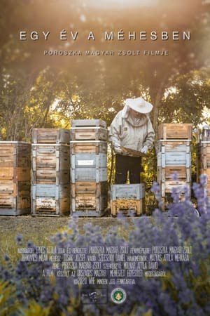 Image Egy év a méhesben