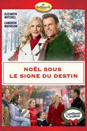 Télécharger Noël sous le signe du destin ou regarder en streaming Torrent magnet 