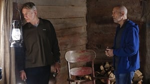 NCIS Season 12 :Episode 15  Cabin Fever