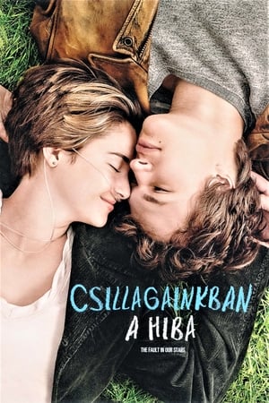 Poster Csillagainkban a hiba 2014