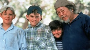 مشاهدة فيلم 3 Ninjas: Knuckle Up 1995 مترجم