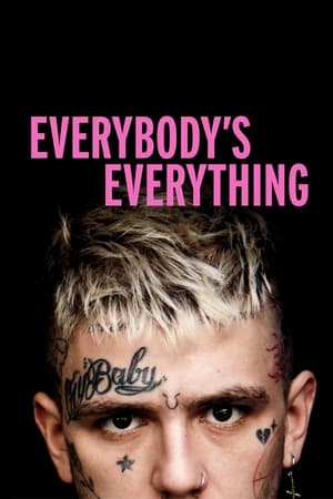 Télécharger Lil Peep: Everybody’s Everything ou regarder en streaming Torrent magnet 