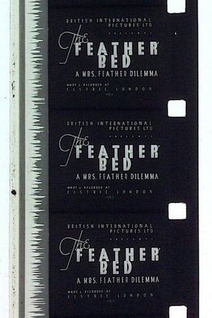 Télécharger The 'Feather' Bed: A Mrs. Feather Dilemma ou regarder en streaming Torrent magnet 