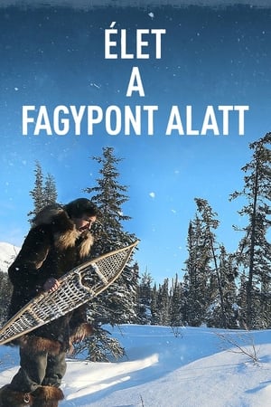 Image Élet a fagypont alatt