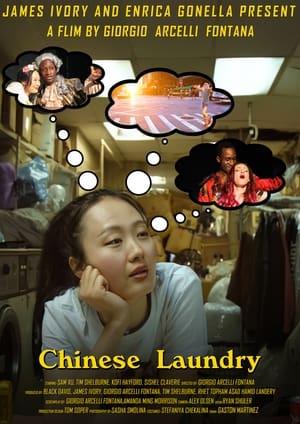 Télécharger Chinese Laundry ou regarder en streaming Torrent magnet 