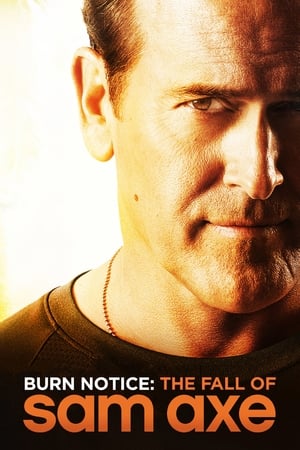 Burn Notice: The Fall of Sam Axe 2011